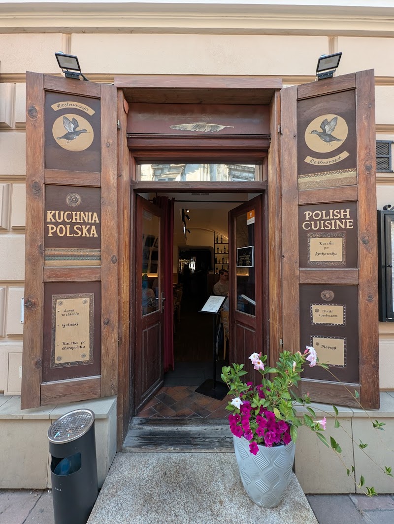 Чорна качка